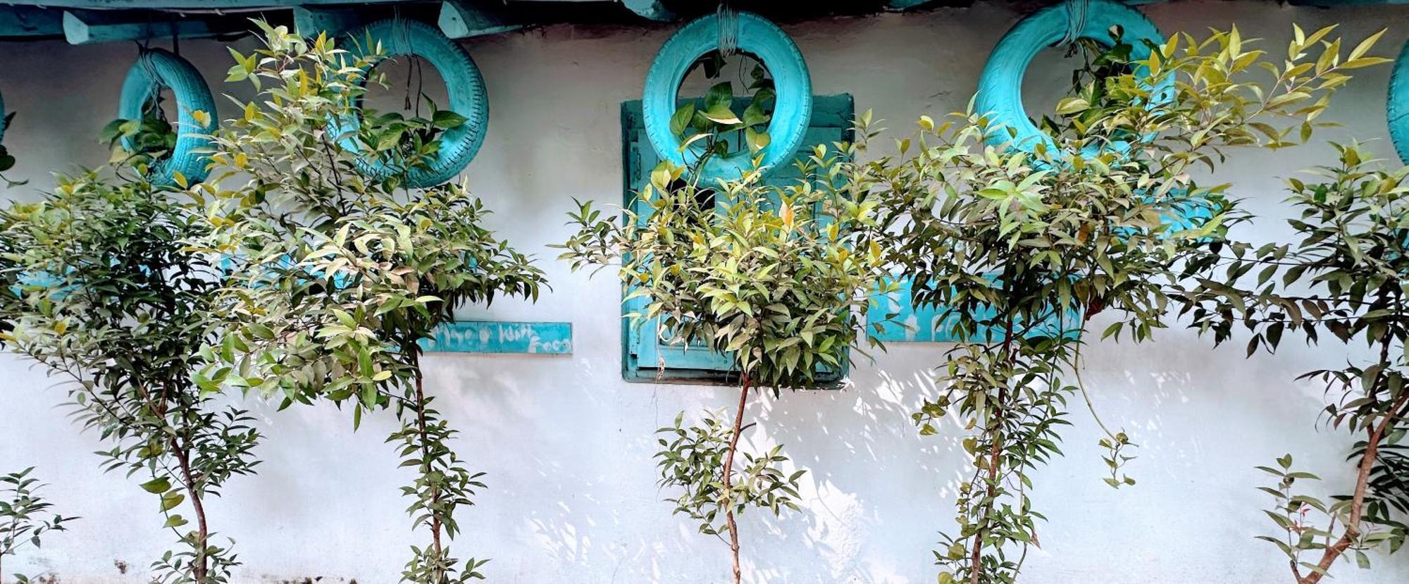 Omkar Wellness Inn Arambol Exterior photo